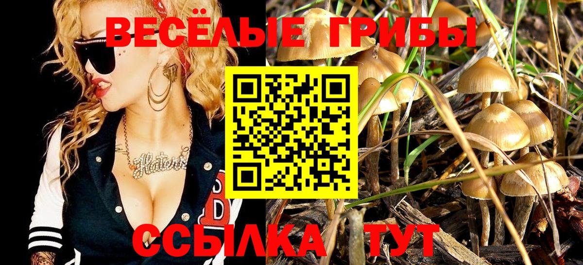 Псилоцибиновые грибы ЛСД Шарыпово