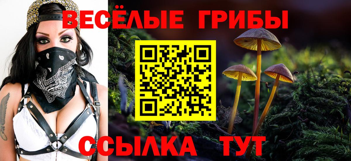 Галлюциногенные грибы Psilocybine cubensis  что такое наркотик  Шарыпово  Вход с VPN 